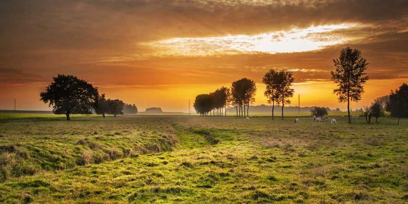 A tidy workspace leads to a tidy mind... and tidy code.