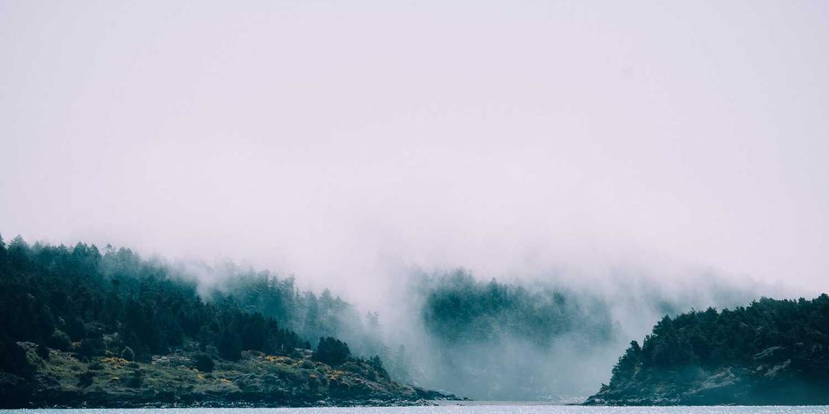 Why Next.js is the Best Choice for React Developers